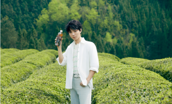 貴山貴水出好茶丨楊洋王俊凱先后溯源金塵茶貴州萬畝茶園