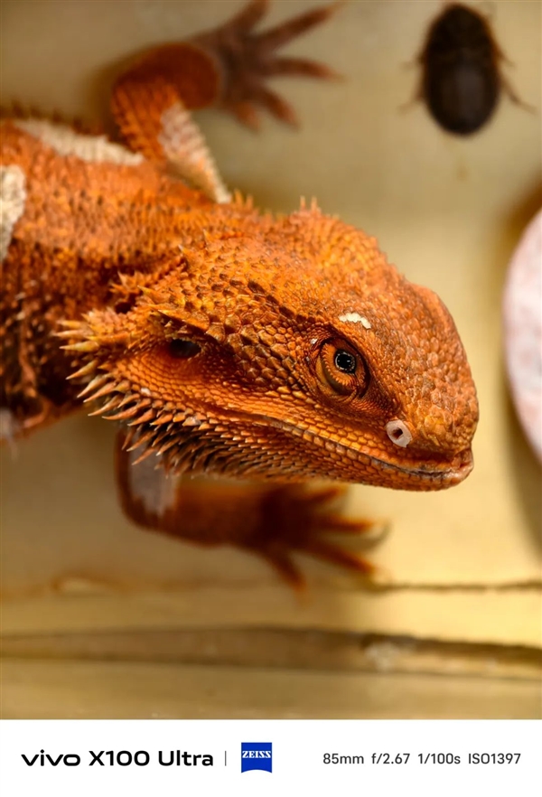 體驗完vivo X100 Ultra 我覺得藍廠說它滅霸還是保守了