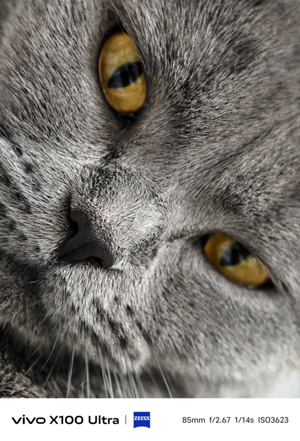 體驗完vivo X100 Ultra 我覺得藍廠說它滅霸還是保守了