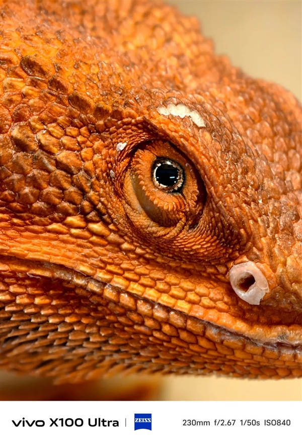 體驗完vivo X100 Ultra 我覺得藍廠說它滅霸還是保守了