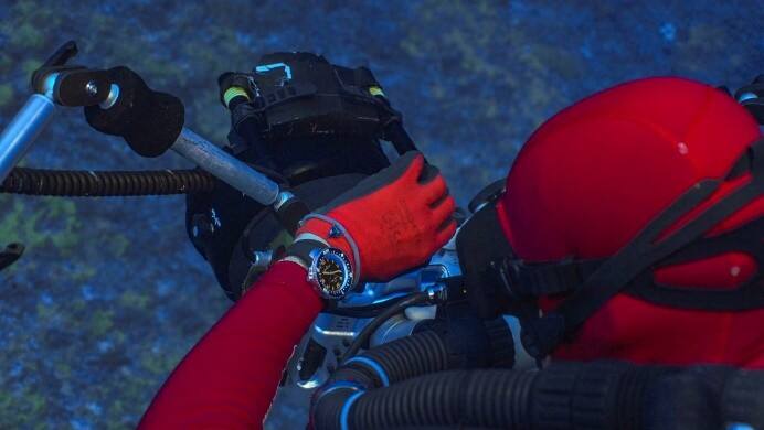 心系海洋！寶珀Tamataroa雙髻鯊保護科考探險行動