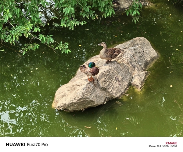 用了一個月華為Pura 70 Pro：我決定推薦下這個大杯 超值