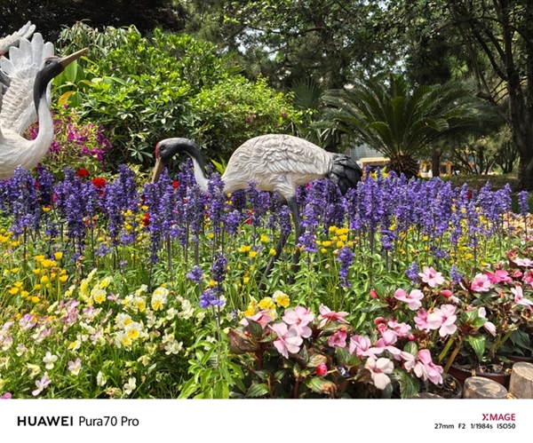 用了一個月華為Pura 70 Pro：我決定推薦下這個大杯 超值