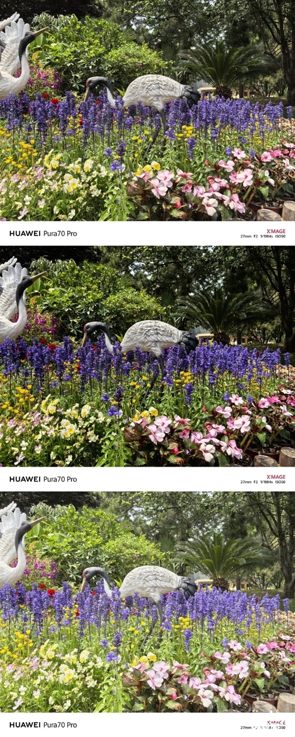 用了一個月華為Pura 70 Pro：我決定推薦下這個大杯 超值