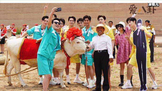 牛氣滿滿的哥哥定檔