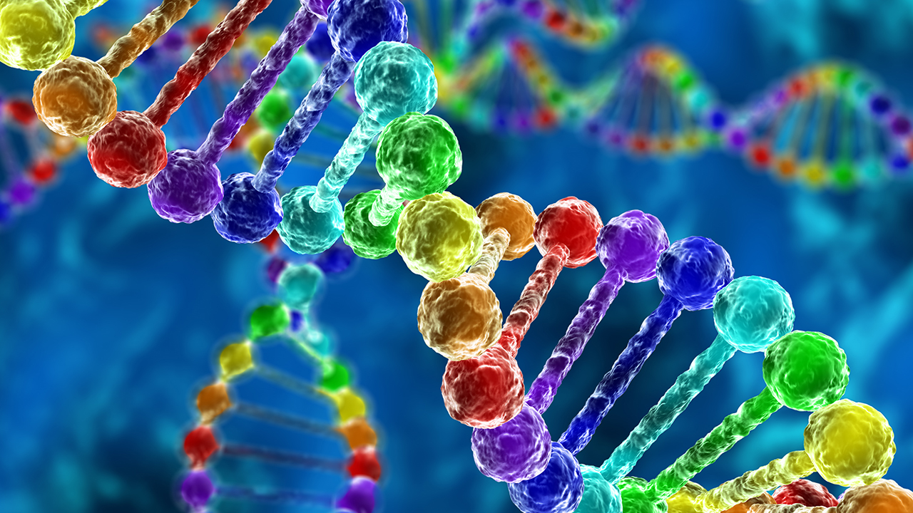 腋下汗毛天生很少有狐臭