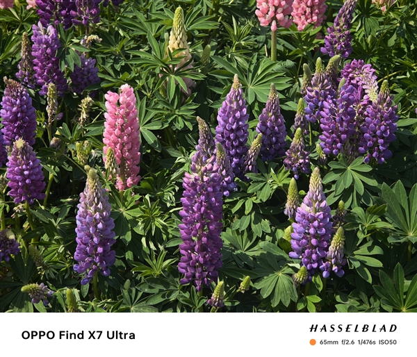 安卓超大杯旗艦到底該買誰：Find X7 Ultra成頂配影像旗艦首選