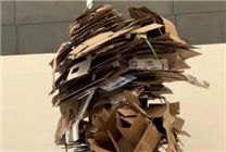 央美畢業(yè)展作品被吐槽廢紙殼 專(zhuān)家：專(zhuān)業(yè)人士向外行網(wǎng)民致歉可笑