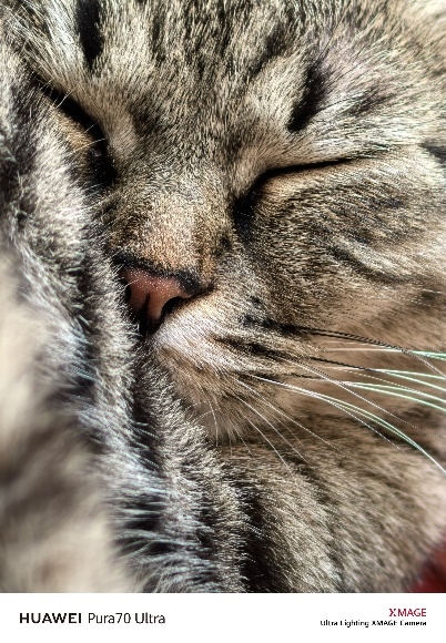 HUAWEI Pura 70銳意風(fēng)尚之夜登陸上海：何剛詮釋“銳意向前”品牌精神