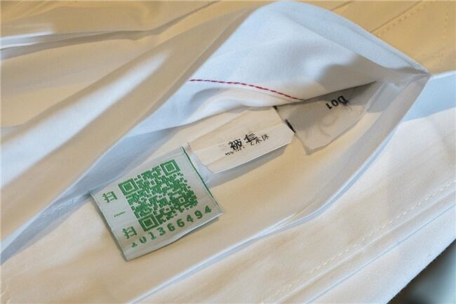 龍舟花燈船、非遺游園會、限定五黃宴……烏鎮(zhèn)景區(qū)端午活動上新