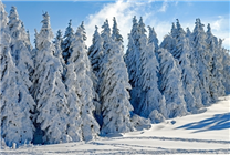 世界氣象組織：今年可能再次出現(xiàn)拉尼娜現(xiàn)象 冬季會偏冷