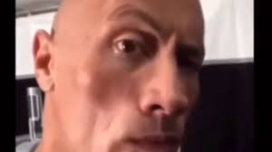 豐田、本田、馬自達要被日本政府查了 因為他們都造假了