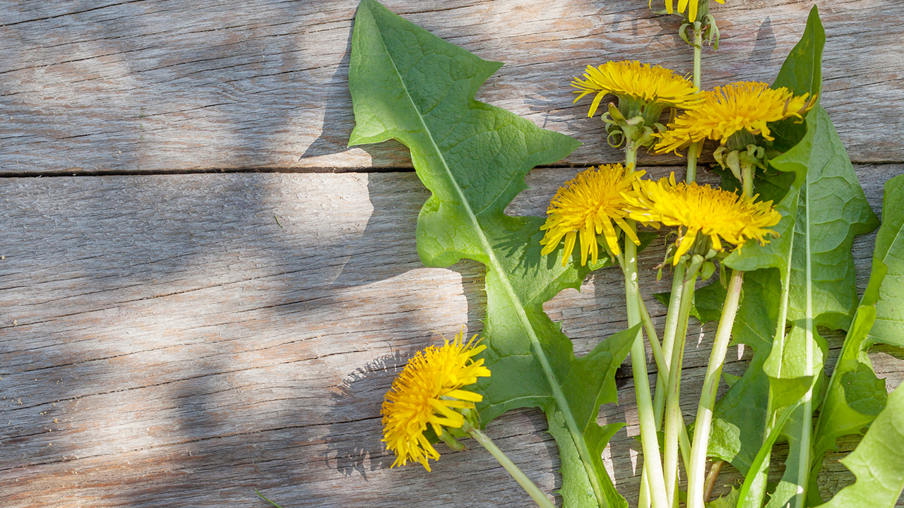 寶寶咳嗽喝坦靜和肺力咳