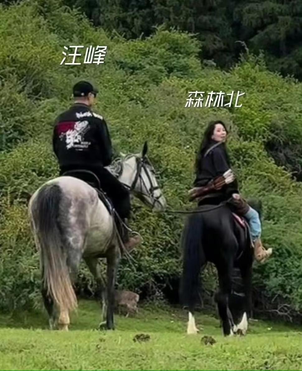 汪峰最新官方消息,汪峰森林北在新疆騎馬 4