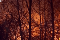 美國“毒火車”事故破壞超預(yù)期 16個(gè)州被污染 1.1億人受影響