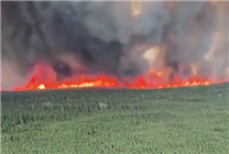 過火面積相當(dāng)于歐洲一個(gè)國家：美國阿拉斯加大火已燒了三周