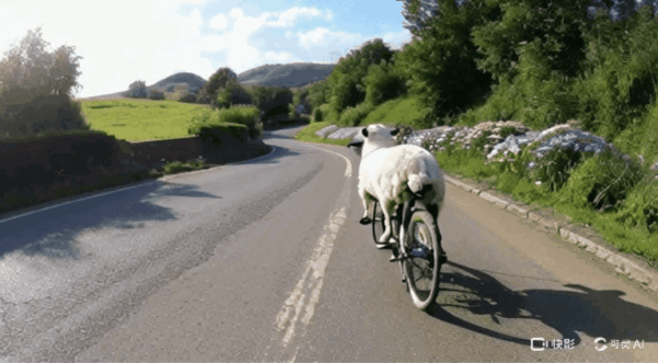 一秒鐘要兩塊錢的視頻AI 為啥我還覺得挺值