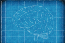重磅研究！中國(guó)首創(chuàng)人腦驅(qū)動(dòng)機(jī)器人