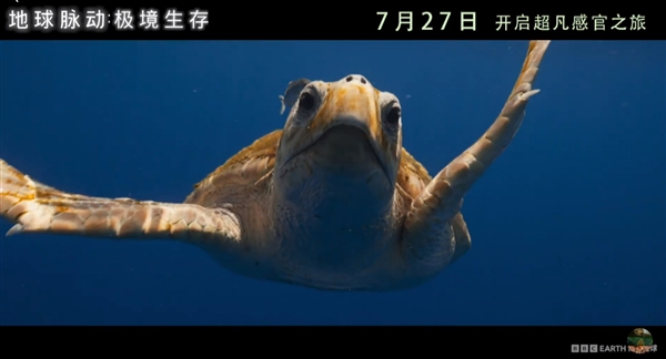 豆瓣9.7分紀錄片天花板！《地球脈動》首部大電影國內(nèi)定檔7月27日：預告片發(fā)布
