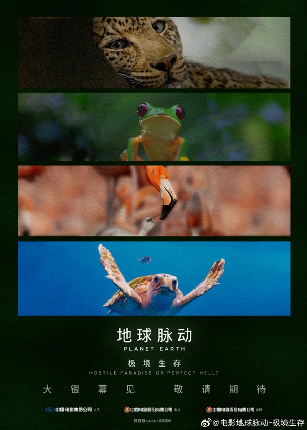 豆瓣9.7分紀錄片天花板！《地球脈動》首部大電影國內(nèi)定檔7月27日：預告片發(fā)布