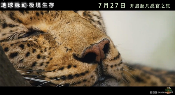 豆瓣9.7分紀錄片天花板！《地球脈動》首部大電影國內定檔7月27日：預告片發(fā)布