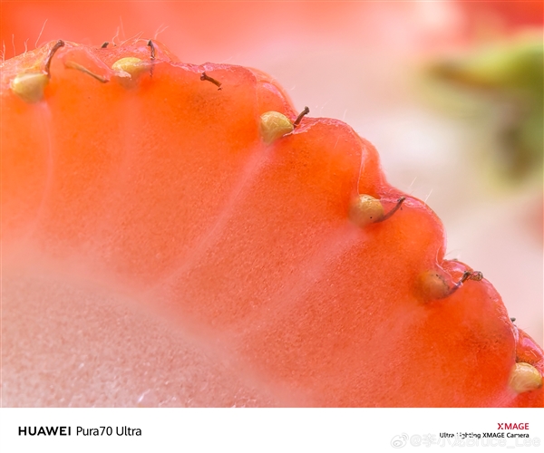 跨越12年的對(duì)比！李小龍曬華為P1、Pura 70 Ultra微距照片：變顯微鏡了