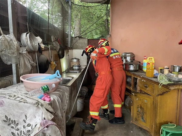 頂級掠食者！大理一小學附近發(fā)現(xiàn)眼鏡王蛇 消防提醒：別擅自抓