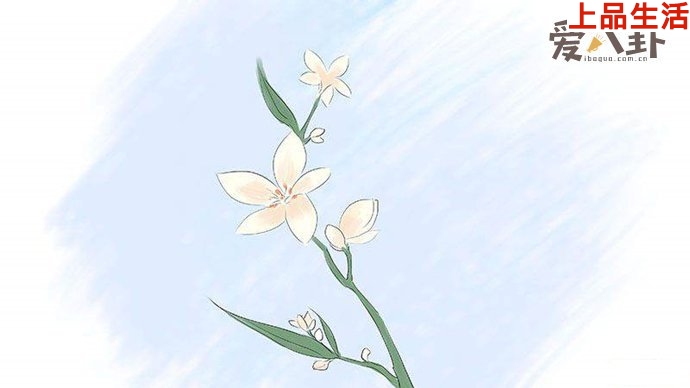 這句話出自蔡仁偉中《偽詩集》