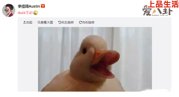 duck不必是怎么火起來的