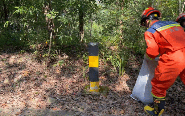 3米巨蟒溜入養(yǎng)殖場 被抓時打飽嗝吐出一只大鵝