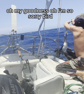 網(wǎng)紅辭職下海結(jié)果被困海中 這老哥要體驗(yàn)現(xiàn)實(shí)版海賊王