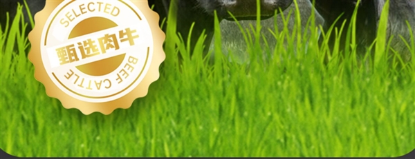 巴西進口 牛和正原切牛排129元2.4斤狂促（送醬料、減170元）