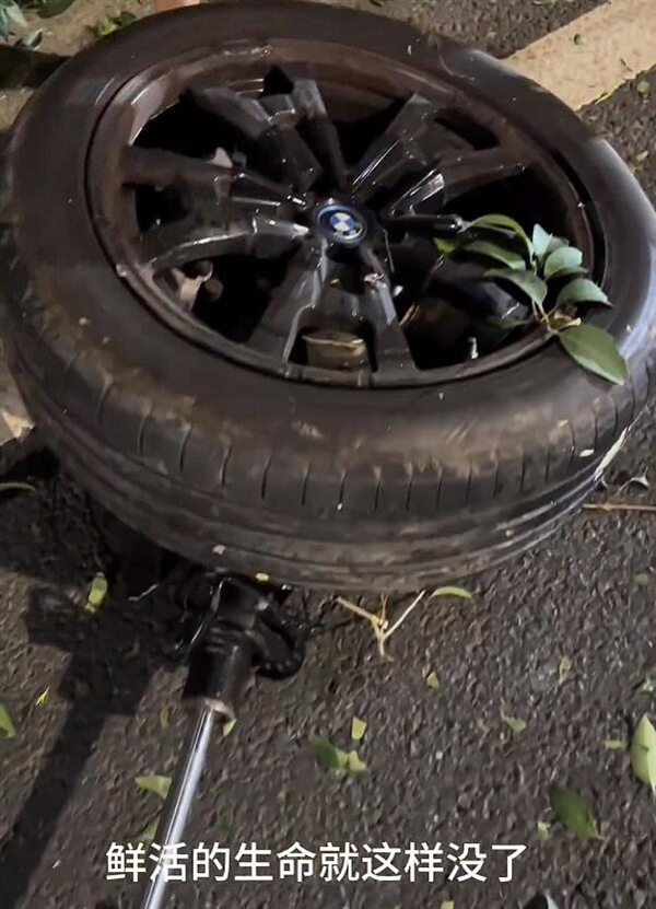 一輛寶馬電車撞高速出口安全島后起火：有人員遺憾未被救出