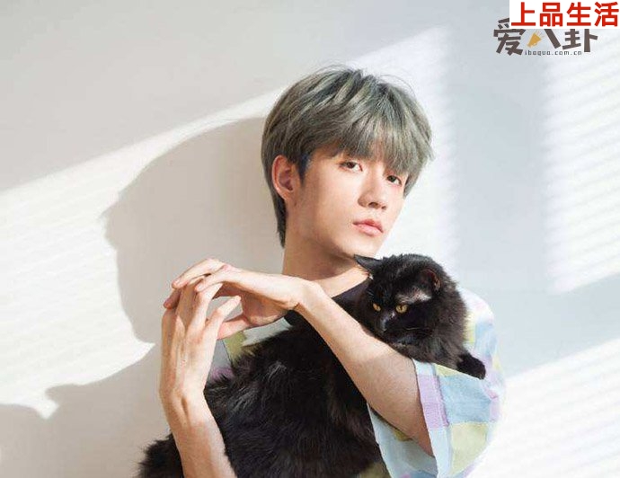 張顏齊女友母丹資料起底