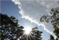 福建男子得熱射病成植物人住進ICU 醫(yī)生：熱射病死亡率很高