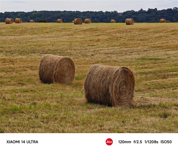 雷軍在巴黎路過草堆時停車拍照：和莫奈名畫里的不一樣