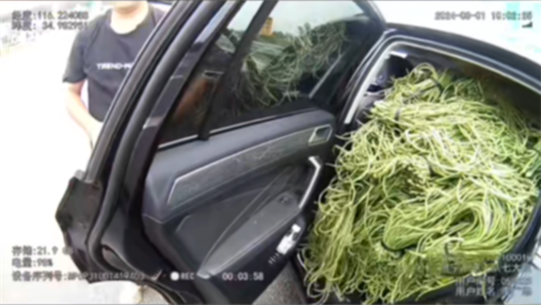 山東一大眾SUV塞滿豆角太壯觀 網(wǎng)友：果然是豆橛子大省