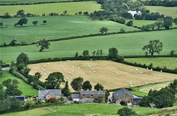 新研究：農(nóng)村土地可以緩解城市熱島效應(yīng)