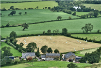 新研究：農(nóng)村土地可以緩解城市熱島效應(yīng)