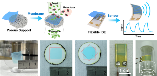 能從沙漠提水 浙大研發(fā)全新褶皺MOF薄膜 不再一掰就碎
