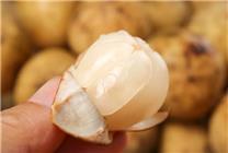 像龍眼、小土豆 30元一斤的貴族水果我打賭很多人都沒見過