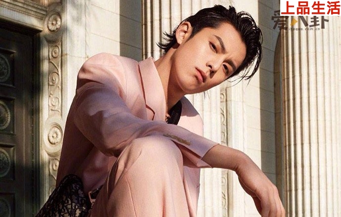 王鶴棣疑女友資料