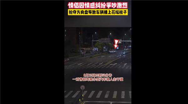 因情感糾紛 情侶爭(zhēng)吵激烈搶奪方向盤撞車：網(wǎng)友感慨馬路殺手