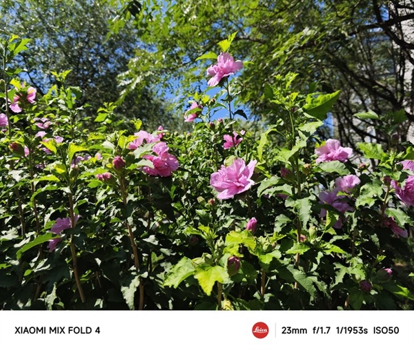 手機(jī)影像進(jìn)階的秘密武器：徠卡之外 小米還有個(gè)大招被低估了