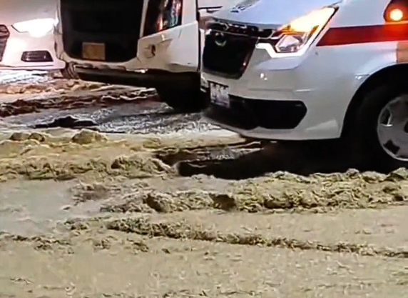 湖南一橋上蜉蝣鋪天蓋地如下雪：幾公分厚、至少上10億只