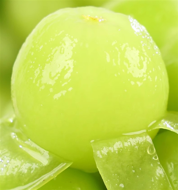 水果自由了！淘工廠產(chǎn)地直銷：陽光玫瑰5斤34.9元、軟籽石榴4.5斤20.9元