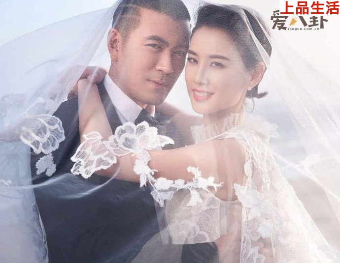 黃圣依楊子巨力集團到底什么背景