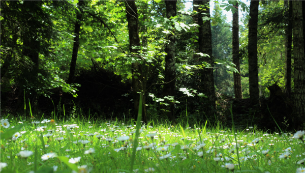 今日11時(shí)11分迎來(lái)白露：秋高氣爽 晝夜溫差大