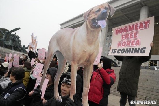 保護(hù)動(dòng)物！韓國(guó)禁食狗肉法實(shí)施：全面禁止飼養(yǎng)屠宰行為