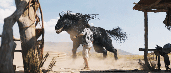 10月23日上映！《毒液：最后一舞》新預(yù)告發(fā)布：毒液馬、毒液魚登場